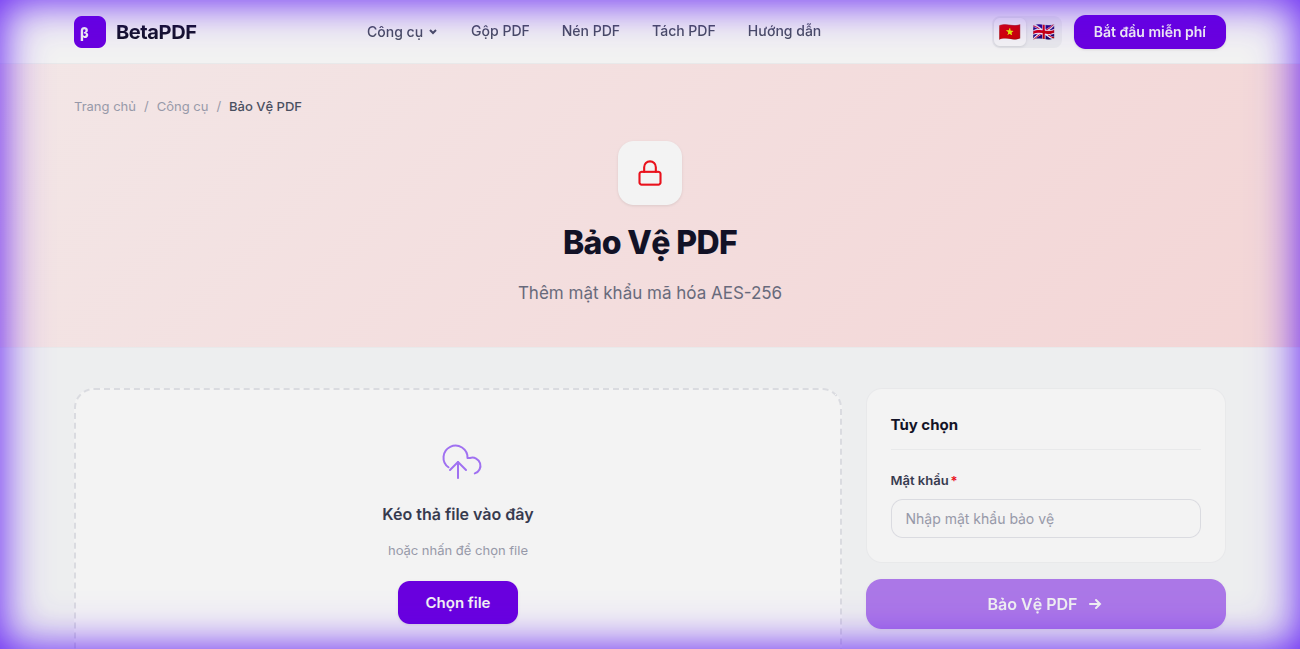 BetaPDF Protect PDF tool — upload area and password options panel